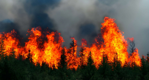 Incendi in Canada, fumo sull�Ontario e sugli Stati Uniti
